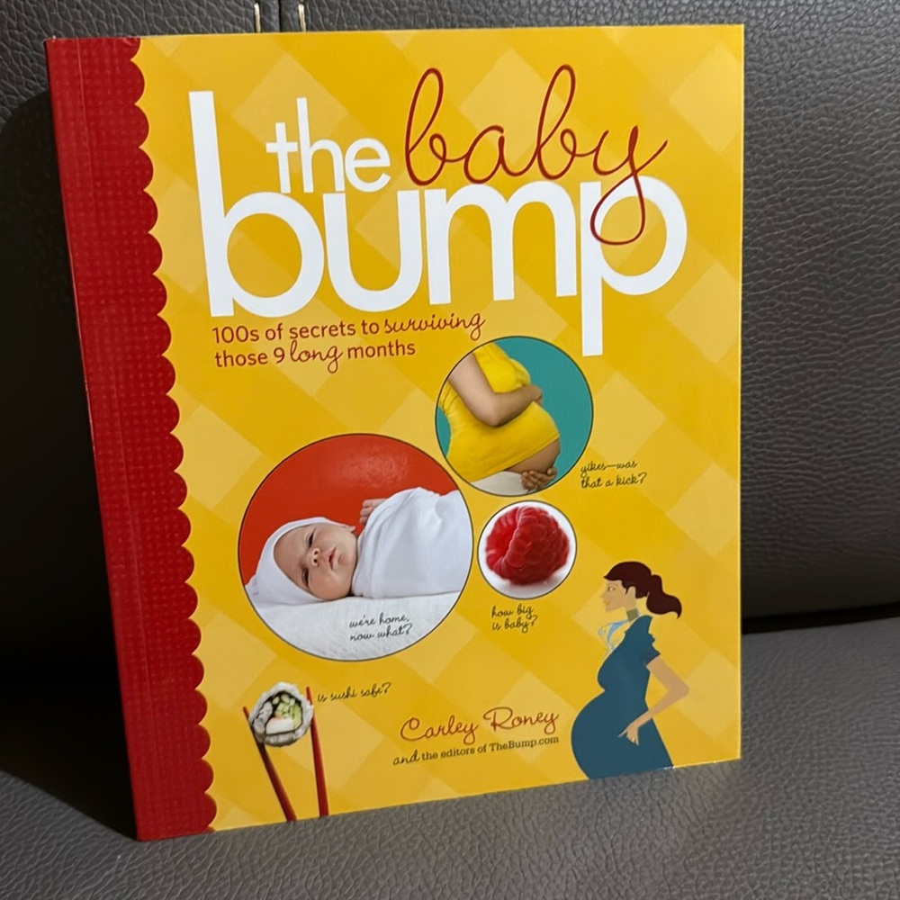 The Baby Bump Book. For the mom to be.